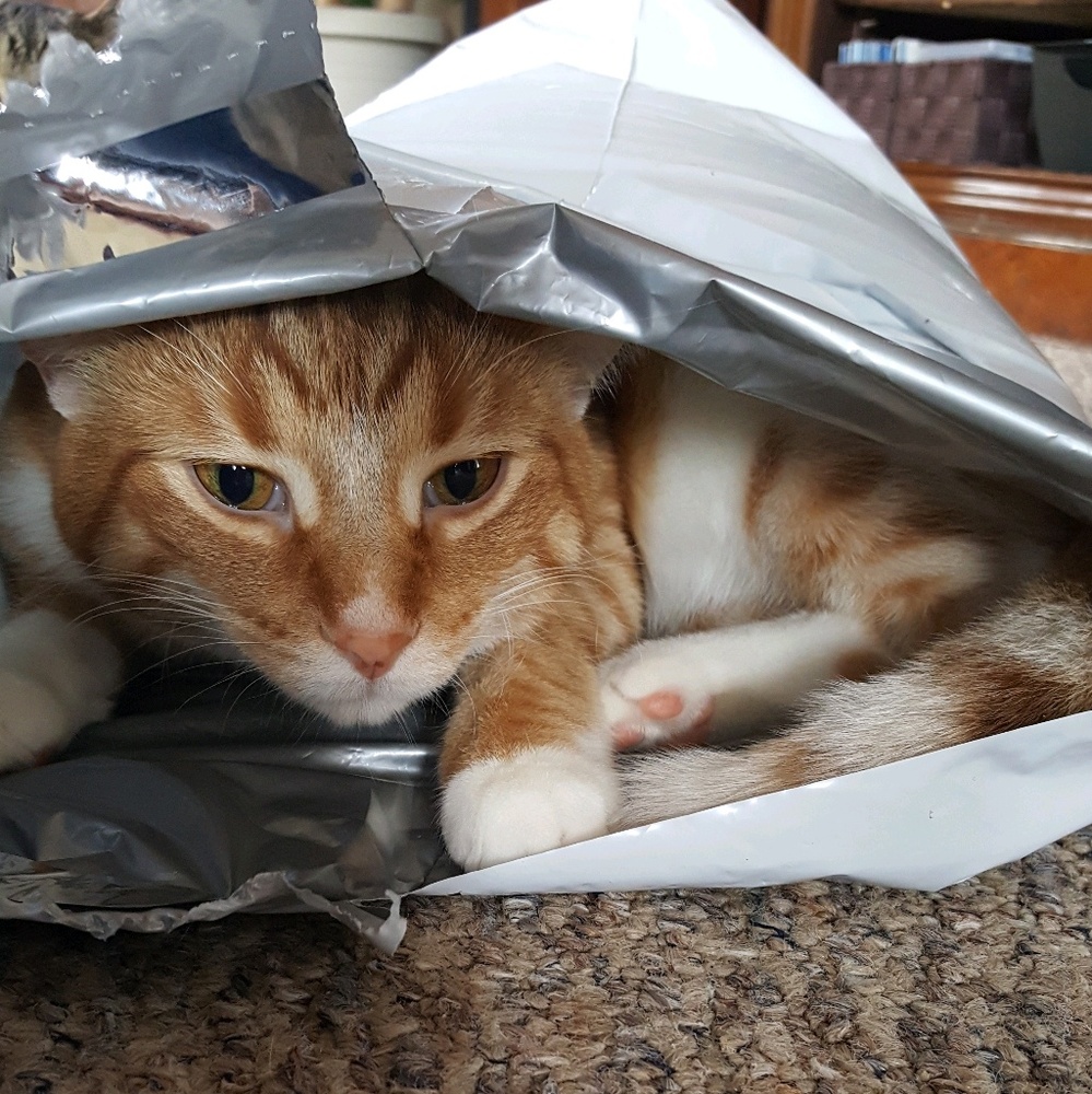 Meet your Posher, Lori